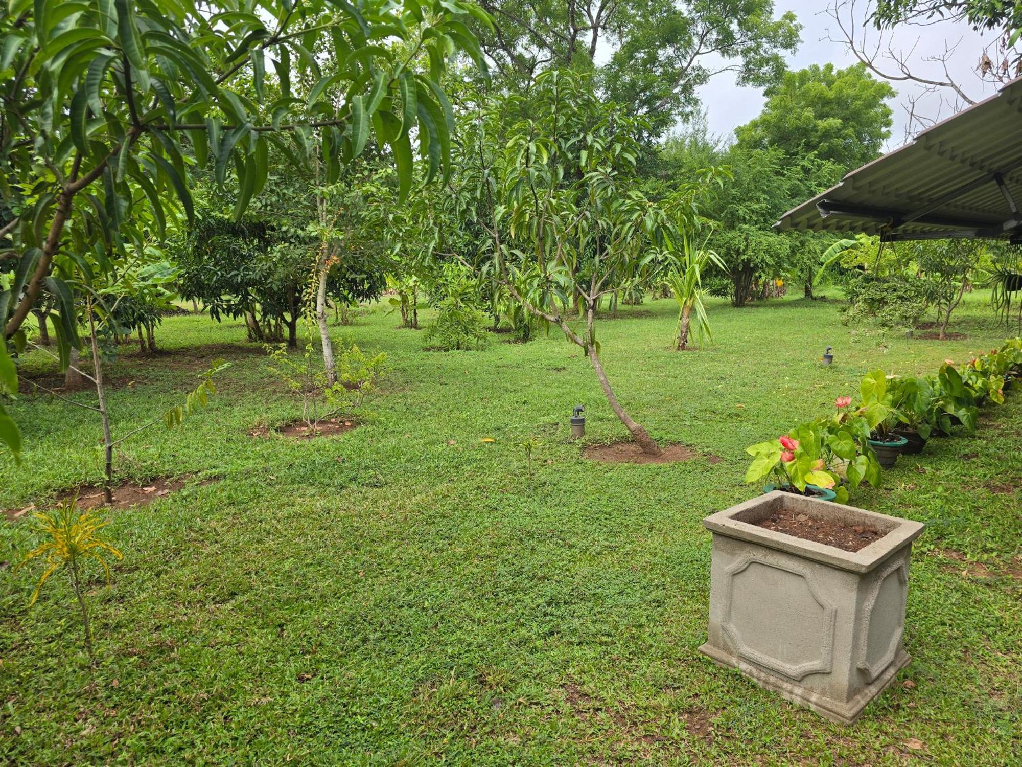 Ceylon Resort וילפאטו מראה חיצוני תמונה